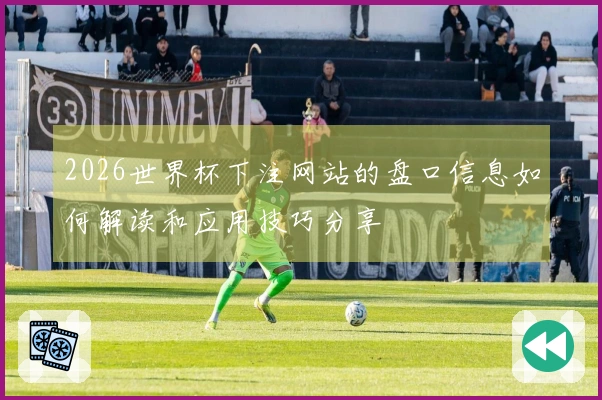 2026世界杯下注网站的盘口信息如何解读和应用技巧分享