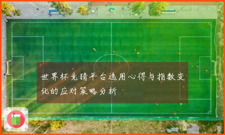 世界杯竞猜平台选用心得与指数变化的应对策略分析